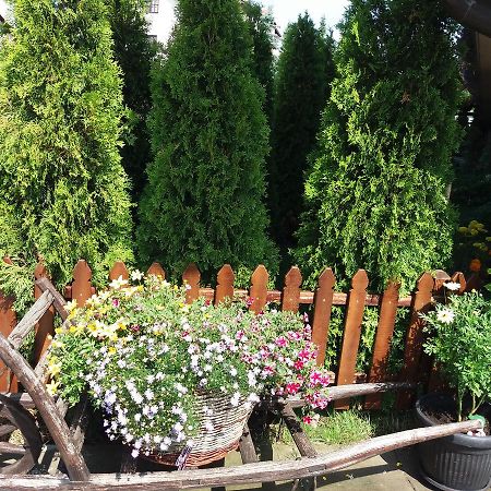 Centar! Lara Zlatibor Lägenhet Exteriör bild