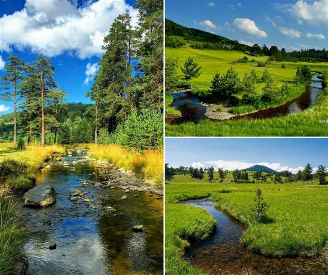 Centar! Lara Zlatibor Lägenhet Exteriör bild